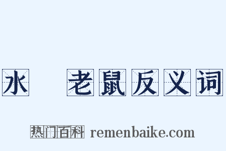 水渰老鼠反义词是什么意思的图片
